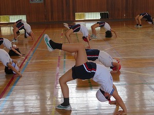 IMG_2743 IMG_2743
