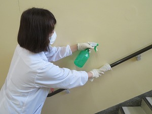 IMG_2774 IMG_2774
