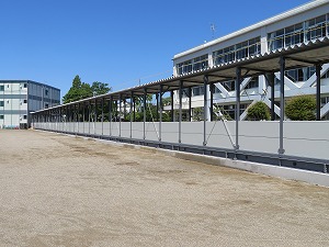 IMG_2804 IMG_2804