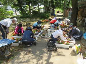 IMG_2826 IMG_2826