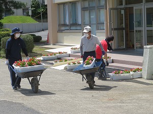 IMG_2832 IMG_2832