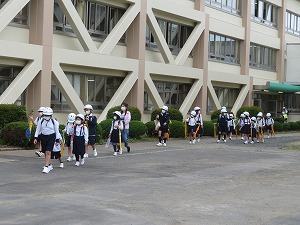 IMG_2854 IMG_2854