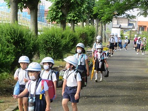 IMG_2867 IMG_2867