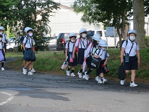 IMG_2868 IMG_2868