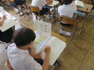 IMG_2941 IMG_2941