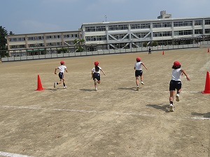 IMG_2957 IMG_2957