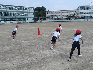IMG_2955 IMG_2955
