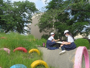 IMG_2952 IMG_2952