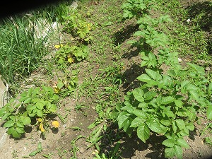 IMG_2987 IMG_2987