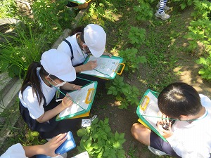 IMG_3019 IMG_3019