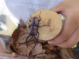 IMG_2992 IMG_2992