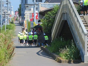 IMG_3014 IMG_3014