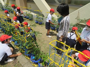 IMG_3057 IMG_3057