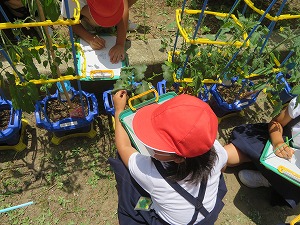 IMG_3077 IMG_3077