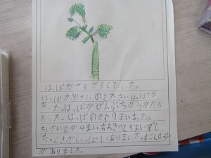 IMG_3044 IMG_3044