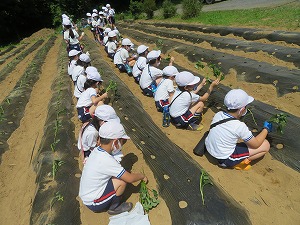 IMG_3105 IMG_3105