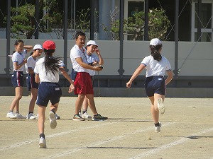 IMG_3133 IMG_3133