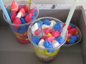 IMG_3177 IMG_3177