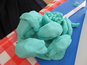 IMG_3174 IMG_3174