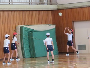 IMG_3129 IMG_3129