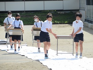 IMG_3237 IMG_3237