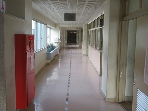 IMG_3288 IMG_3288