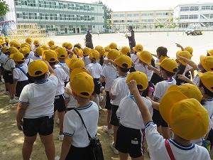 IMG_3328 IMG_3328