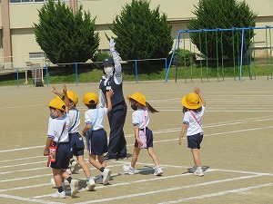 IMG_3339 IMG_3339