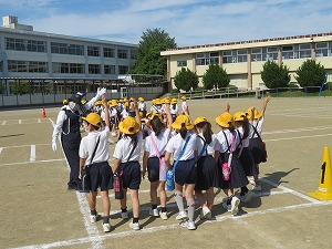 IMG_3355 IMG_3355
