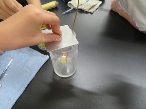 IMG_3453 IMG_3453