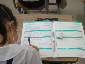 IMG_3519 IMG_3519