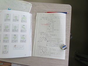 IMG_3487 IMG_3487