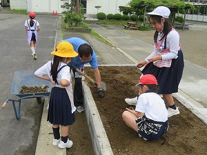 IMG_3494 IMG_3494