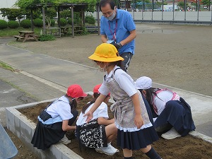 IMG_3495 IMG_3495