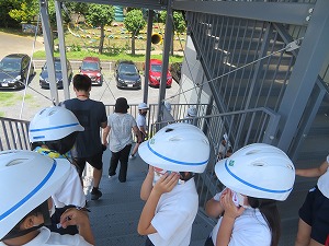 IMG_3706 IMG_3706