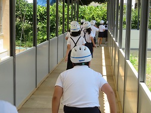IMG_3720 IMG_3720