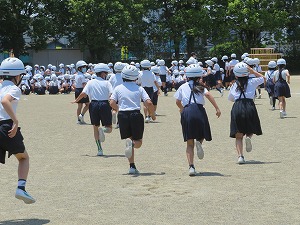IMG_3726 IMG_3726