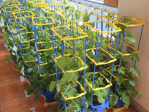 IMG_3803 IMG_3803
