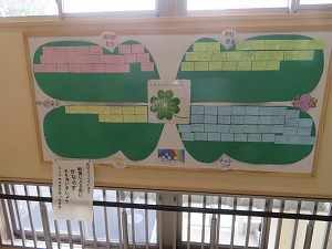 IMG_3798 IMG_3798