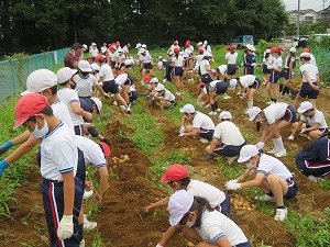 IMG_4255 IMG_4255
