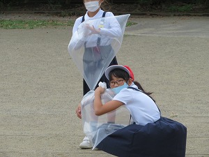 IMG_4413 IMG_4413
