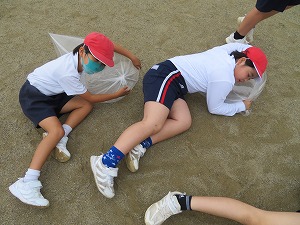 IMG_4412 IMG_4412