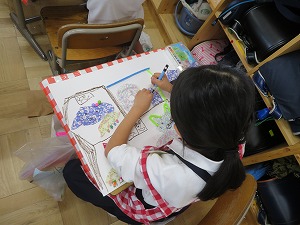 IMG_4517 IMG_4517