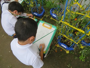 IMG_4584 IMG_4584