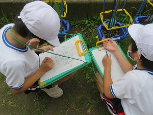 IMG_4562 IMG_4562