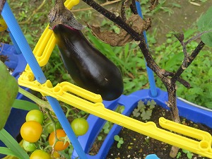IMG_4546 IMG_4546
