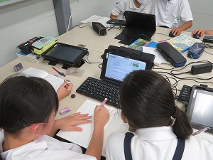 IMG_4533 IMG_4533