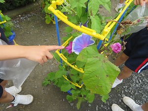 IMG_4591 IMG_4591