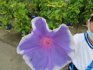 IMG_4598 IMG_4598