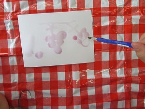 IMG_4639 IMG_4639